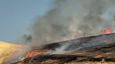 Realizan ejercicios de incendios controlados en Fresno: ¿Por qué son necesarios?