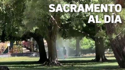 Sacramento al Día: recomendaciones de seguridad por calor extremo en el norte de California