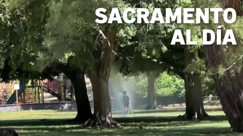 Sacramento al Día: recomendaciones de seguridad por calor extremo en el norte de California