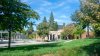 Árbol cae sobre los presentes en una graduación en California; 12 salieron heridos