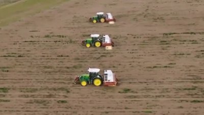 Buscan agricultores reducir costos con nueva tecnología que no está permitida en California