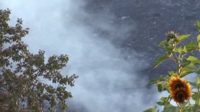 Lo que se sabe del incendio Bonanza que arde en el condado El Dorado