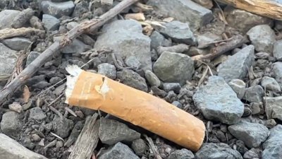 Estos son los descuidos que podrían ocasionar un incendio forestal