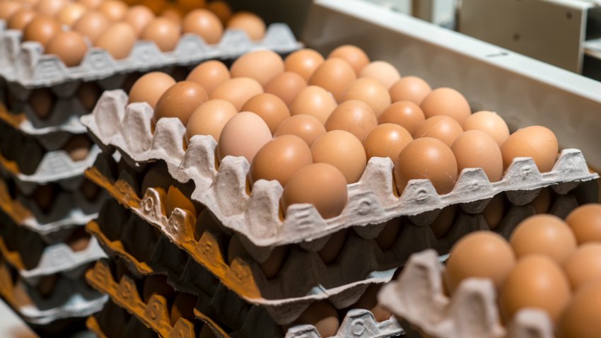 Cartons of brown eggs packaged at a plant in South Africa.