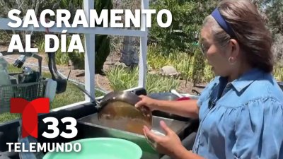 Sacramento al Día: ofrecen recursos para afectados por cortes de energía en el Valle Central