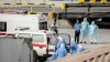 ¿Qué es el virus de los Andes? El hantavirus vinculado a brote en crucero es la cepa más letal