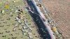 En imágenes: choque de trenes de alta velocidad en España deja decenas de muertos