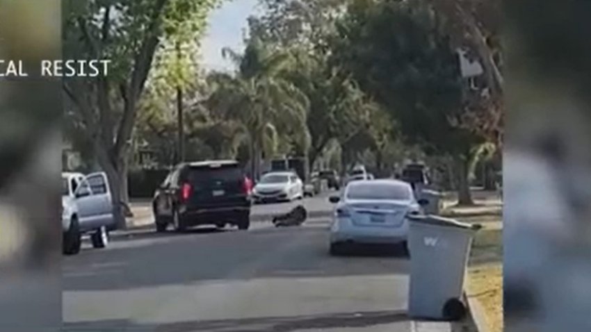 Investigan incidente de ICE en Woodland